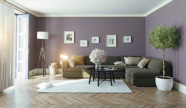Living Rooms & Family Rooms